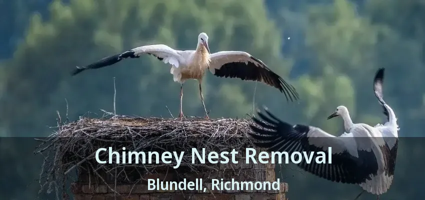 Chimney Nest Removal Blundell, Richmond - BC