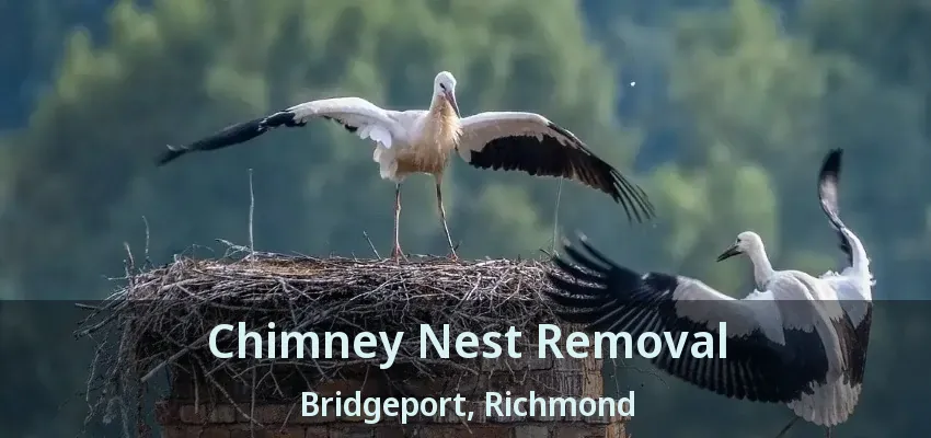 Chimney Nest Removal Bridgeport, Richmond - BC