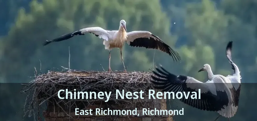 Chimney Nest Removal East Richmond, Richmond - BC
