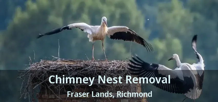 Chimney Nest Removal Fraser Lands, Richmond - BC
