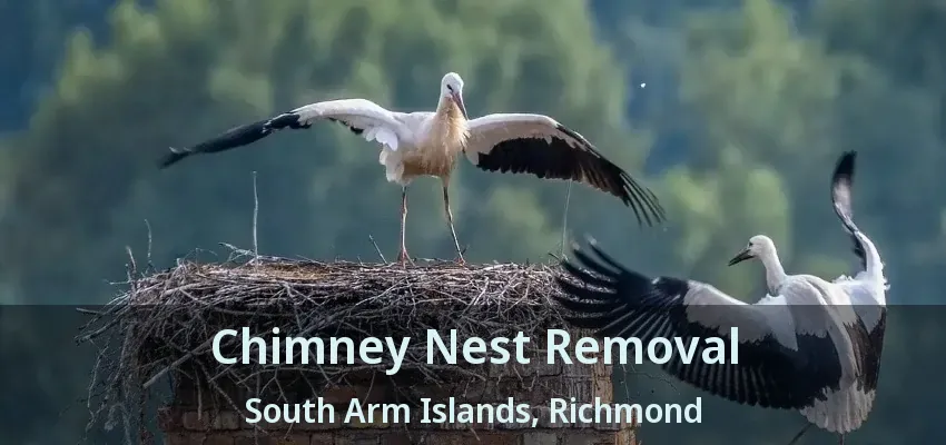 Chimney Nest Removal South Arm Islands, Richmond - BC