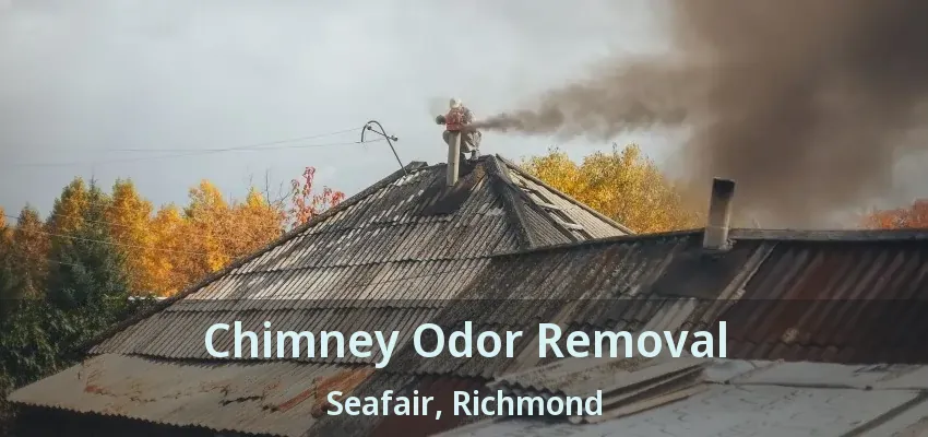 Chimney Odor Removal Seafair, Richmond - BC