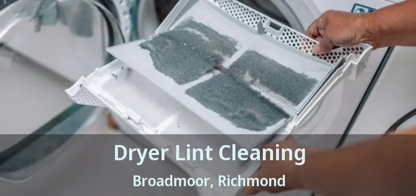 Dryer Lint Cleaning Broadmoor, Richmond - BC
