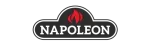 Napoleon Ortal Fireplace Repair in Richmond